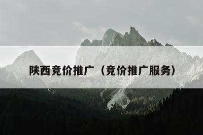 陜西競價推廣(競價推廣服務(wù))