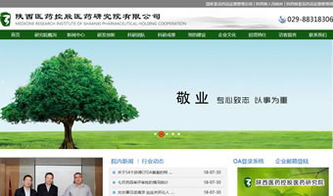 設(shè)計(jì)案例 陜西 萬企互聯(lián) 專業(yè)提供網(wǎng)站建設(shè) 網(wǎng)站推廣 微信營銷 小程序 域名注冊 虛擬主機(jī) 云服務(wù)器等業(yè)務(wù)