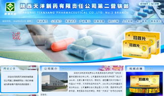 設(shè)計(jì)案例 陜西 萬企互聯(lián) 專業(yè)提供網(wǎng)站建設(shè) 網(wǎng)站推廣 微信營銷 小程序 域名注冊(cè) 虛擬主機(jī) 云服務(wù)器等業(yè)務(wù)